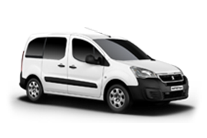 peugeot tepee